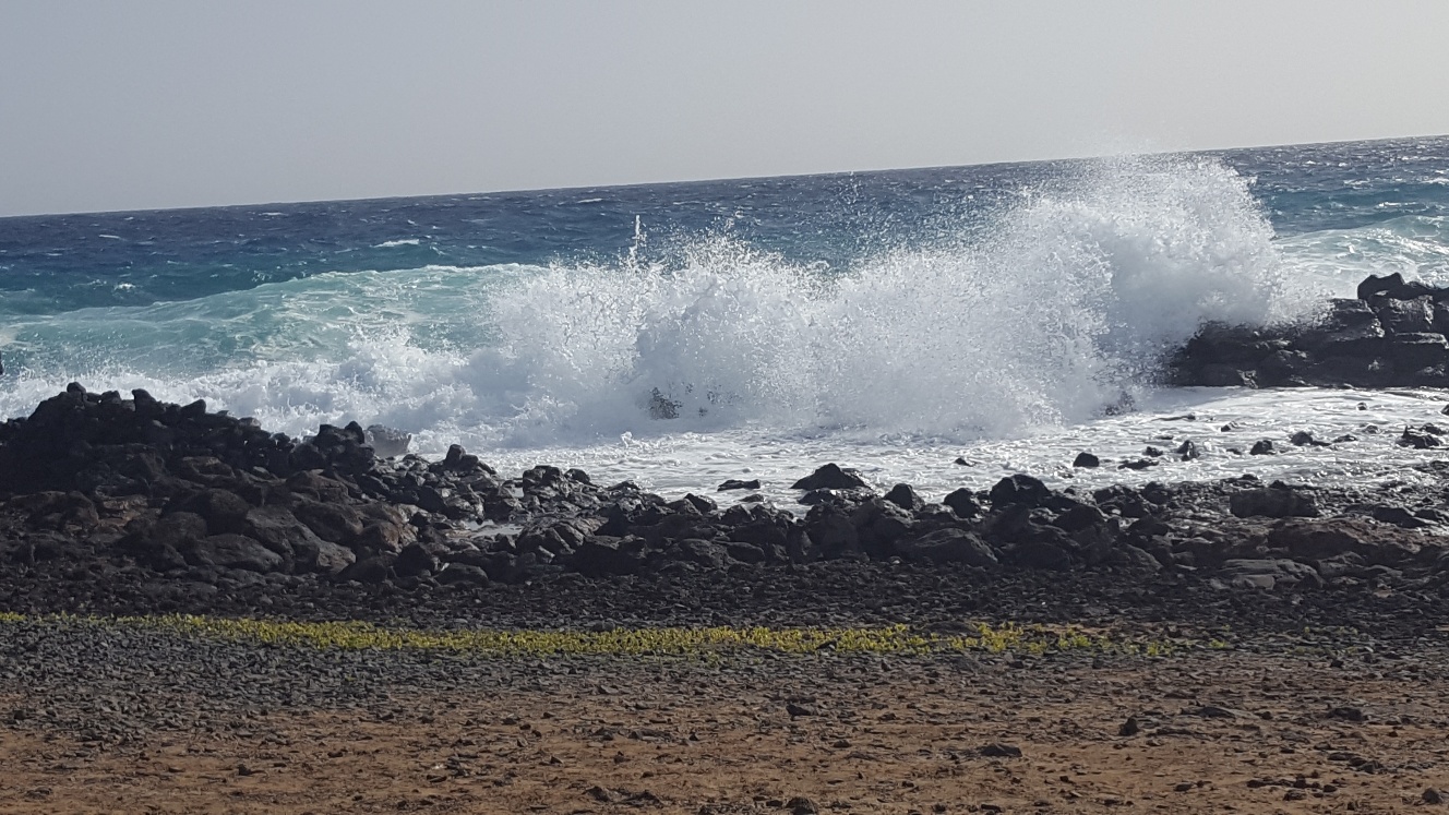 Apartment and villa cleaning Lanzarote