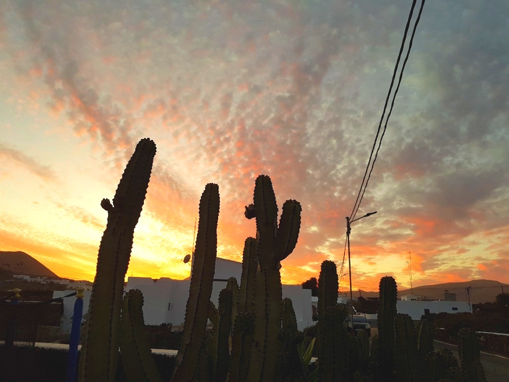 Caretakers of apartments, villas and homes